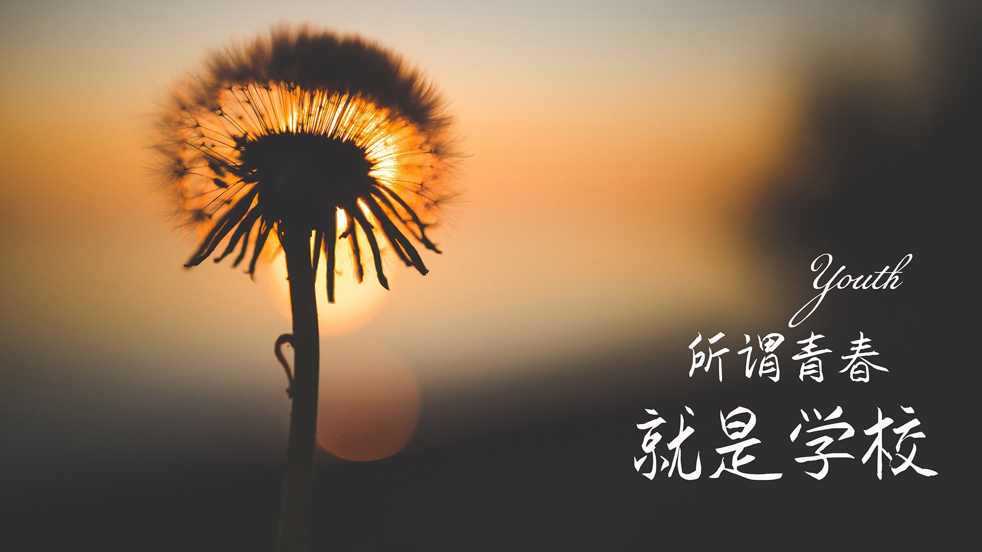 开云官方网页登录-_马刺老兵贡献满满，迎来一场酣畅战斗_，马刺战术视频