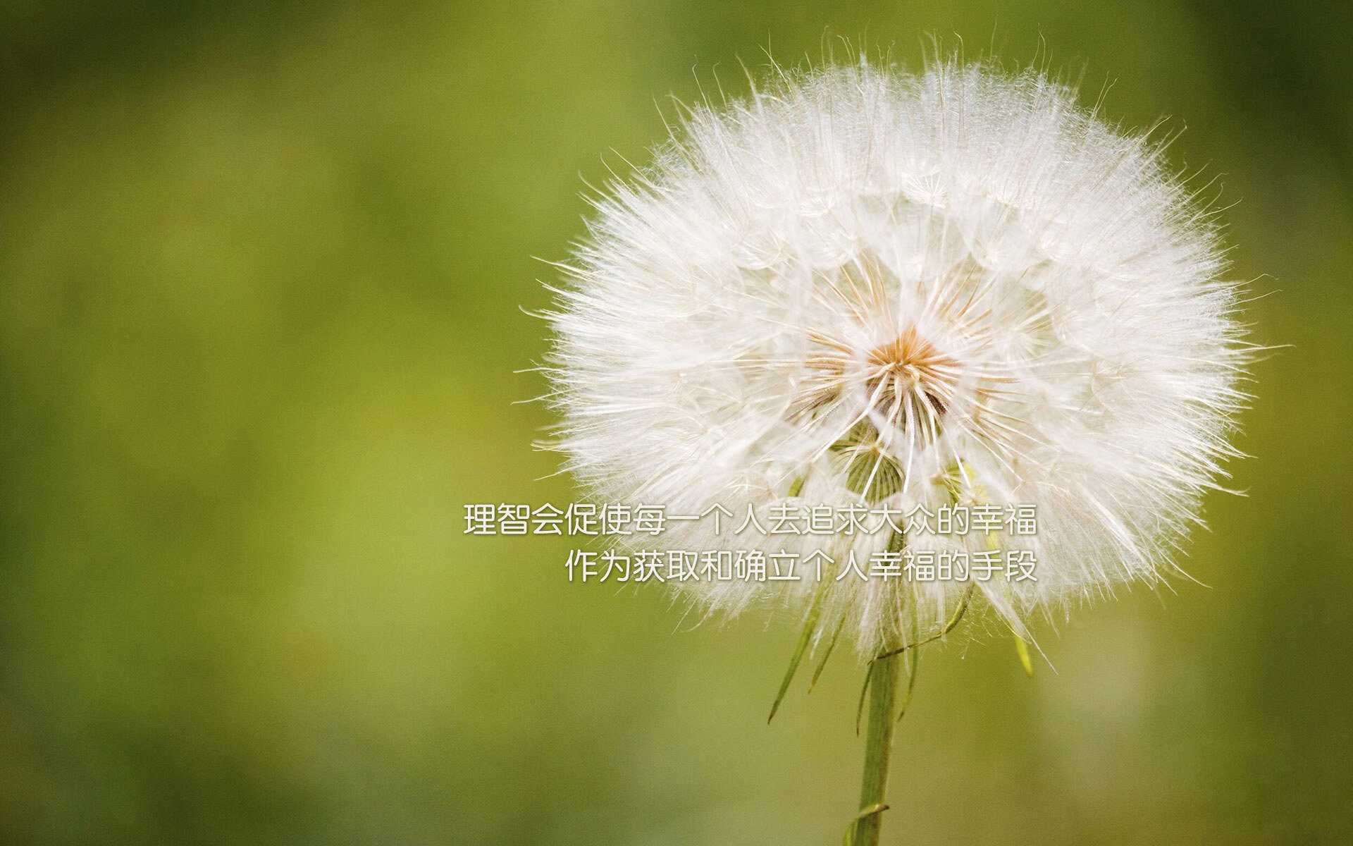 开云网页版-“德甲冠军争夺战进入关键期，豪门逐步逼近”，德甲冠军规则