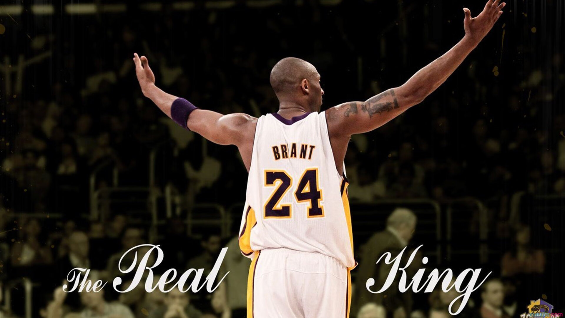 世界杯新星横空出世,19岁前锋轰动足坛,2022世界杯新星