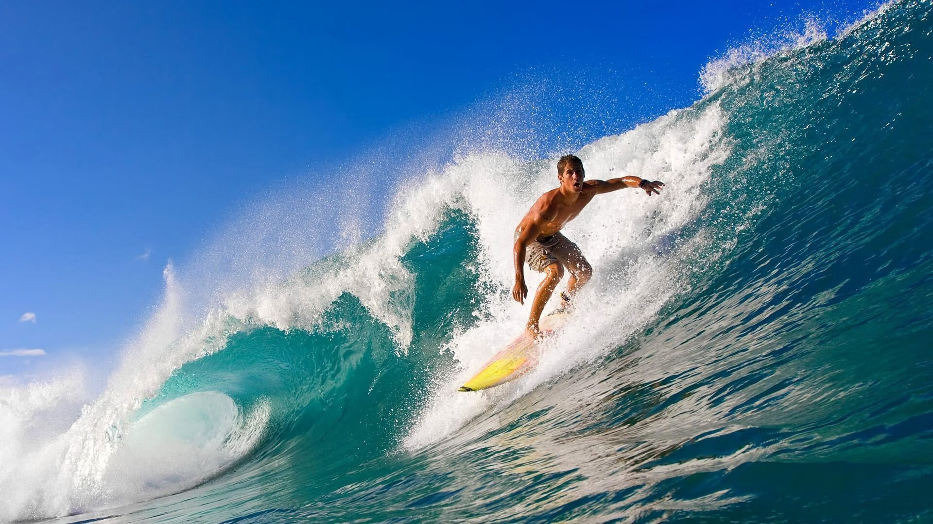 新远景:未来足球场馆将实现“绿色智慧+全智能管理”,足球场管理系统